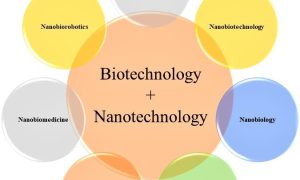 What is the differences between Biotechnology and Nanotechnology