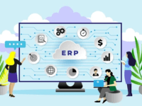 Mengelola Data Efektif dengan ERP System
