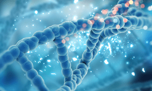 What is Molecular and Cellular Biotechnology?