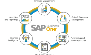 Apa Itu SAP Business One? Pengertian, Manfaat dan Kegunannya