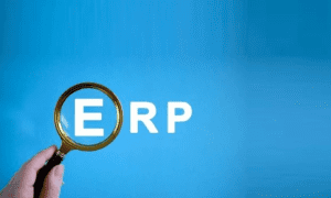 Keunggulan Bersaing melalui ERP System